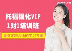 {иVIP11Ӗ
